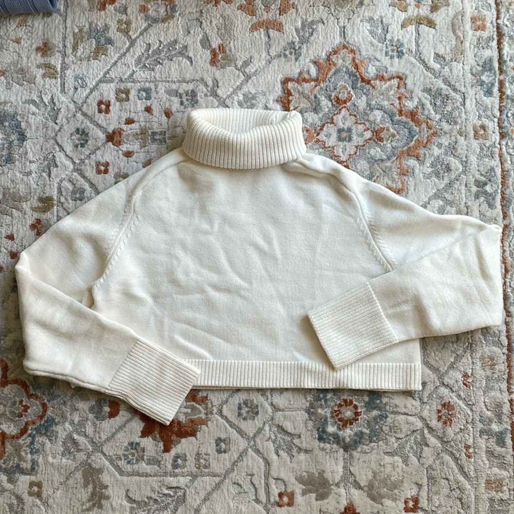 Zara Cropped Turtleneck Sweater